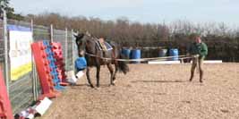 Beth - first laterals