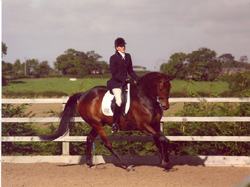 Bombie competing at Vale View