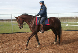 Gary - first steps being ridden