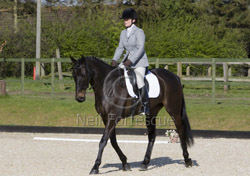Murphy first dressage test