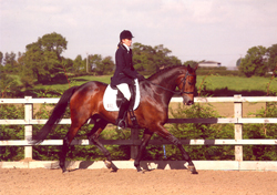 Bombie competing at Vale View