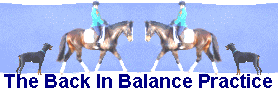 back in balance banner