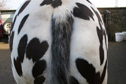 After using itch magic