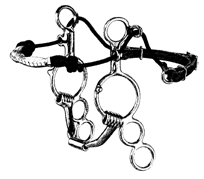 Myler Combination Bit